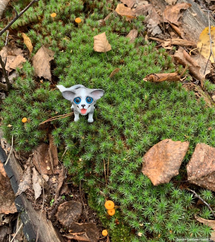 Омлетик(корги) — Разные шарнирные куклы (не БЖД): редкие (фото 8)