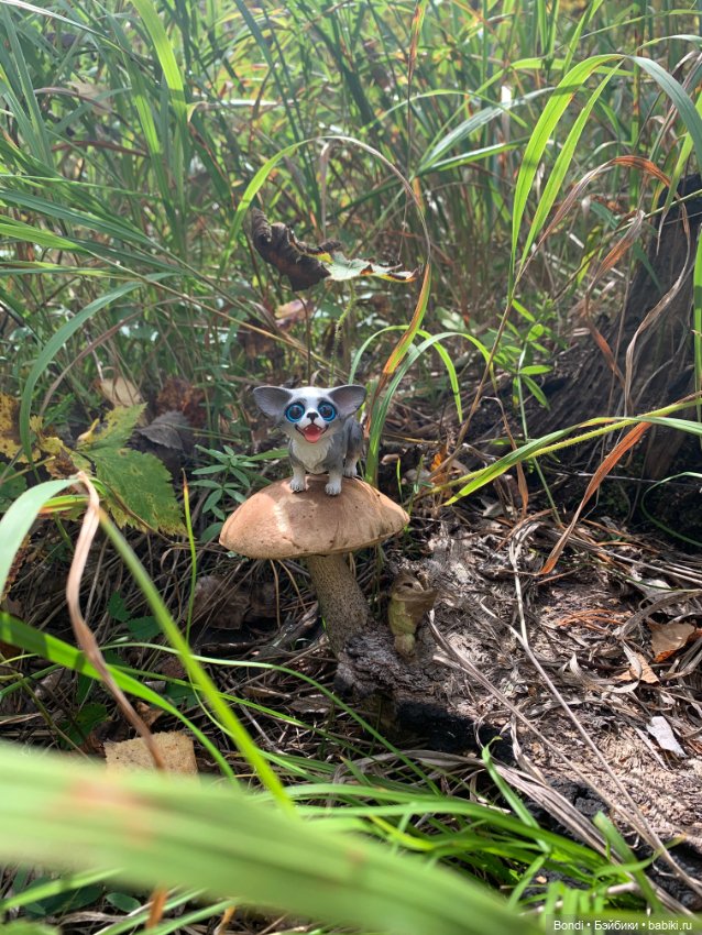 Омлетик(корги) — Разные шарнирные куклы (не БЖД): редкие (фото 5)