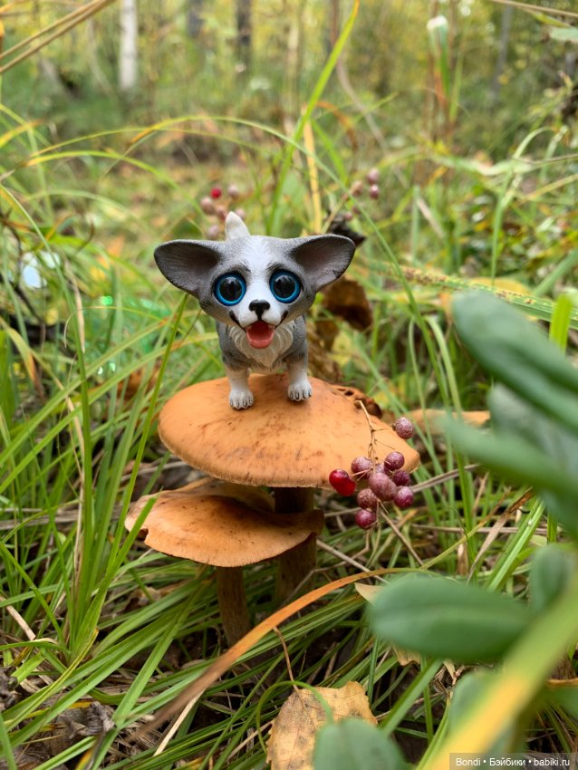 Омлетик(корги) — Разные шарнирные куклы (не БЖД): редкие (фото 2)