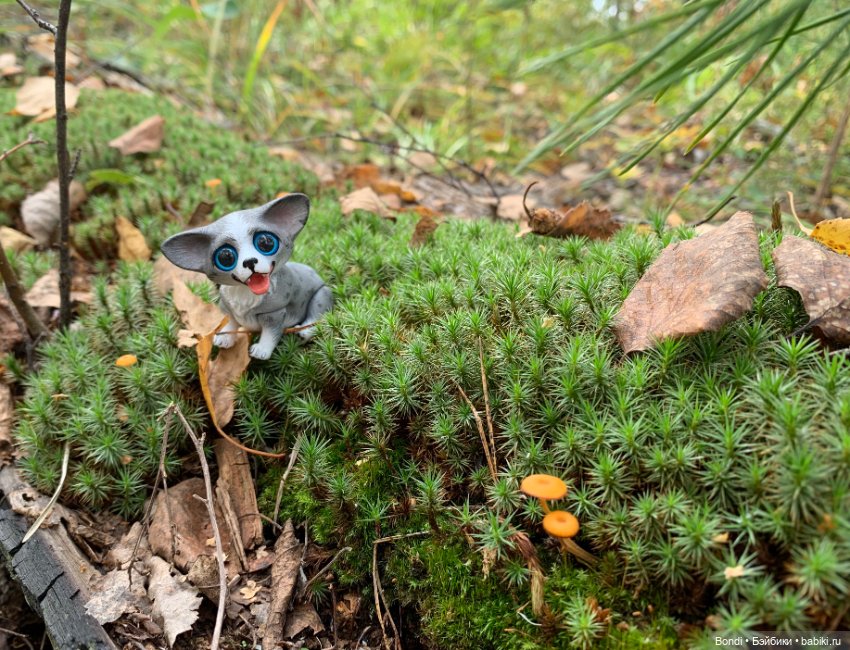 Омлетик(корги) — Разные шарнирные куклы (не БЖД): редкие (фото 7)