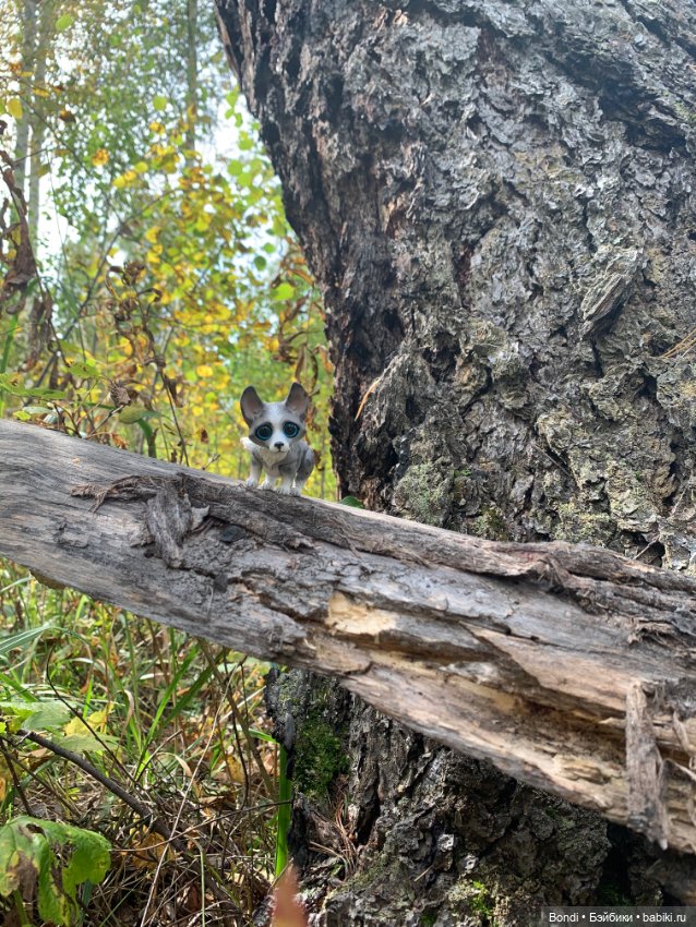 Омлетик(корги) — Разные шарнирные куклы (не БЖД): редкие (фото 4)