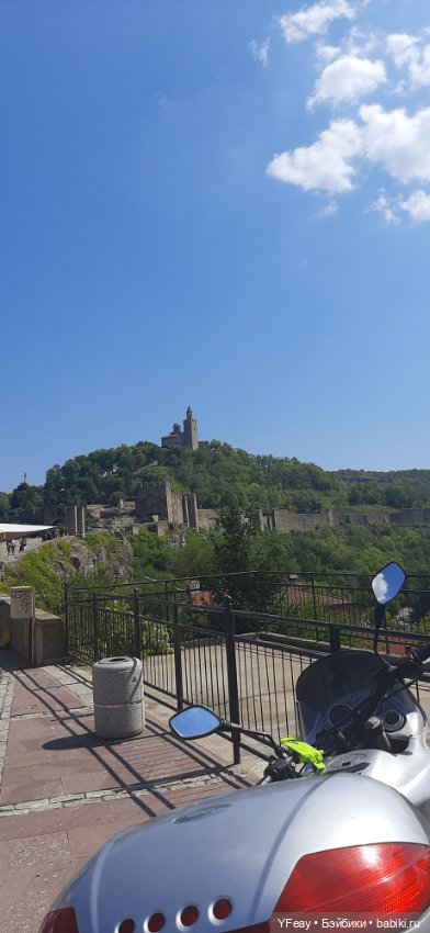 Жизнь одного медведя — Авторские мишки Тедди и друзья: фото