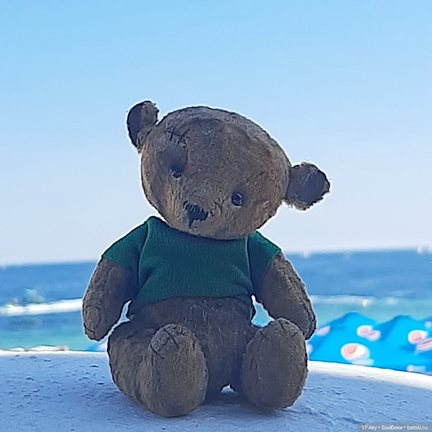 Жизнь одного медведя — Авторские мишки Тедди и друзья: фото