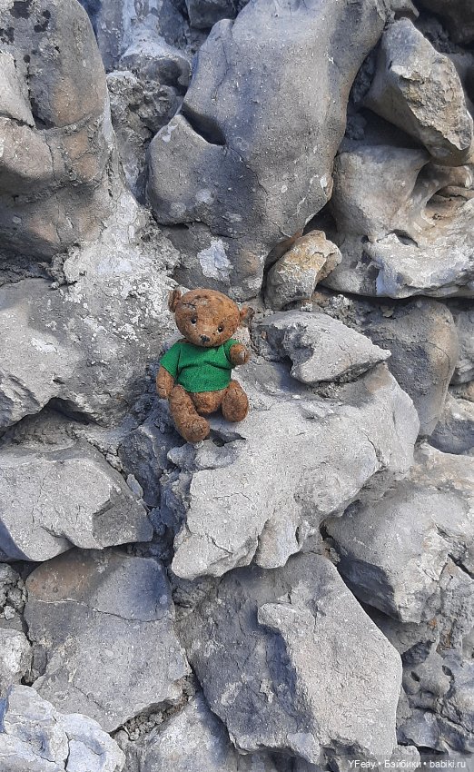 Жизнь одного медведя — Авторские мишки Тедди и друзья: фото (фото 8)