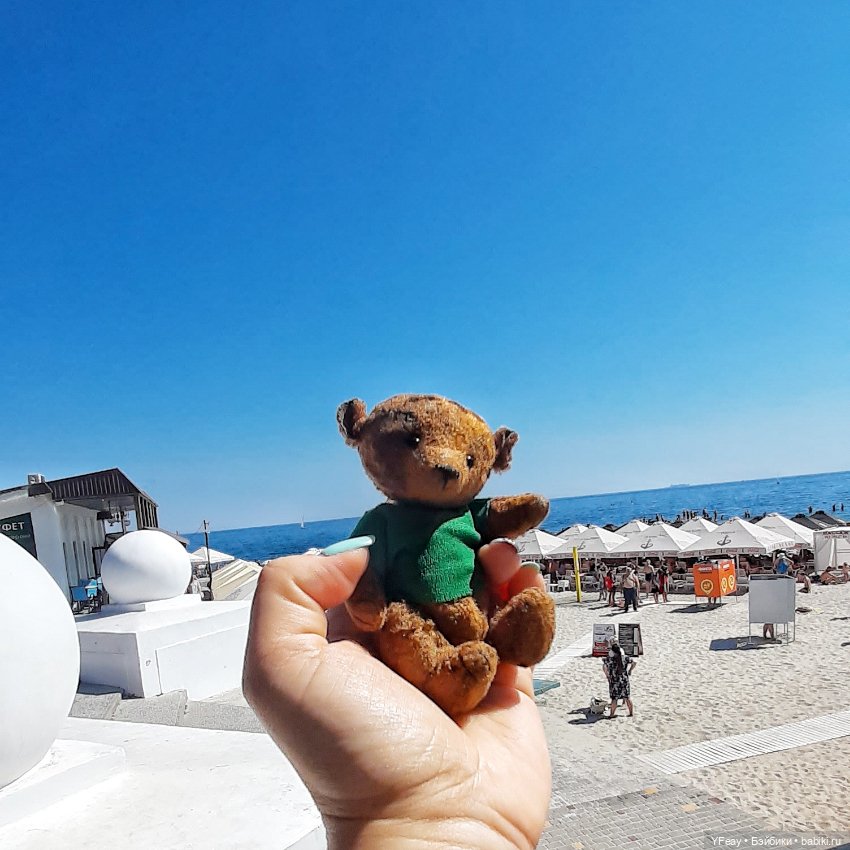 Жизнь одного медведя — Авторские мишки Тедди и друзья: фото