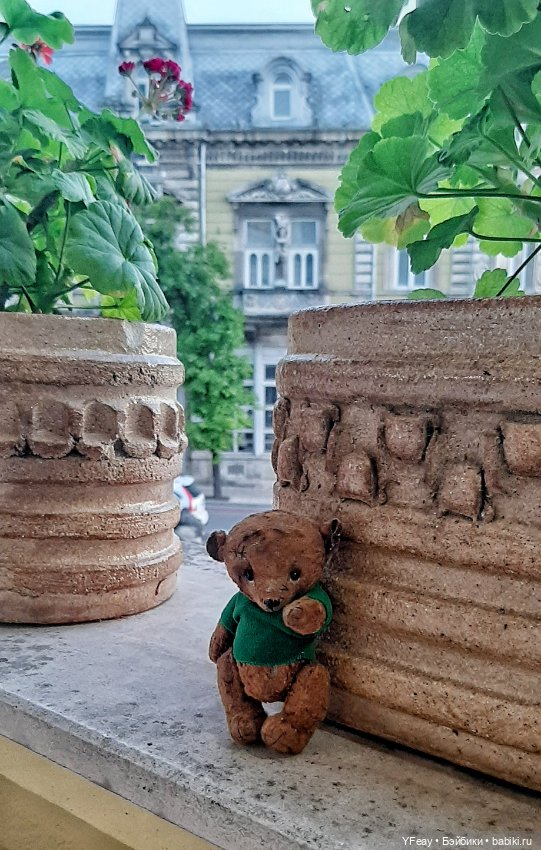 Жизнь одного медведя — Авторские мишки Тедди и друзья: фото (фото 5)