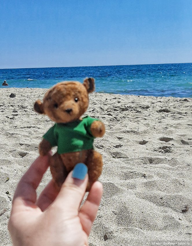 Жизнь одного медведя — Авторские мишки Тедди и друзья: фото (фото 4)