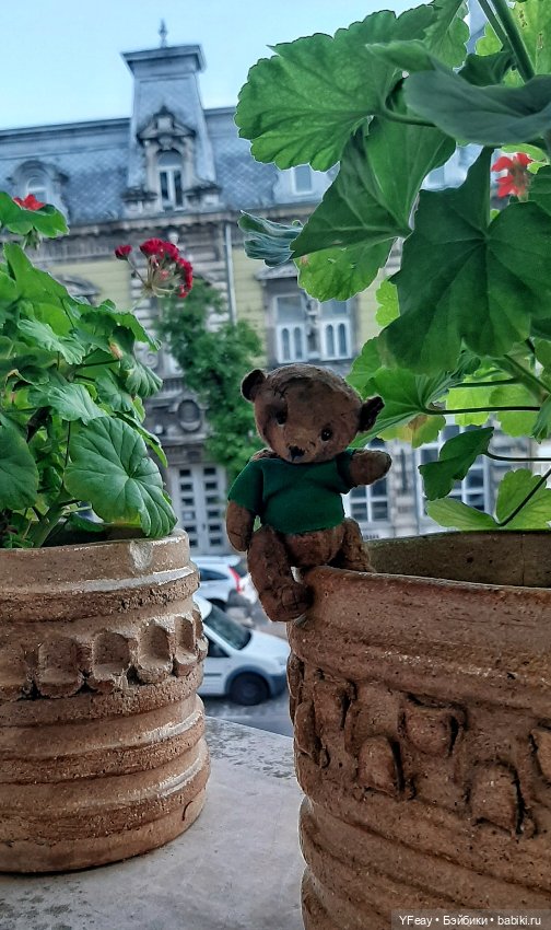 Жизнь одного медведя — Авторские мишки Тедди и друзья: фото (фото 6)