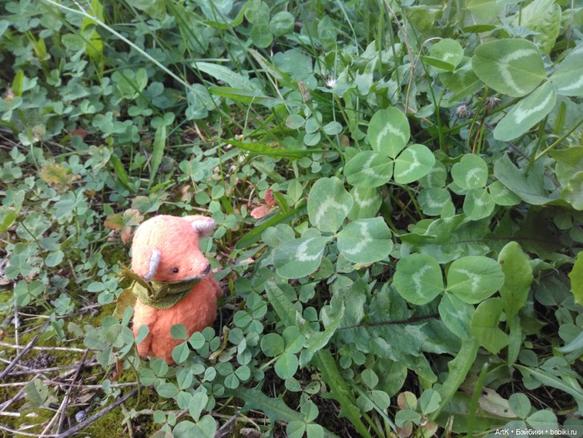 Гостинцы — Домашние фото авторских игрушек: Тедди (фото 9)