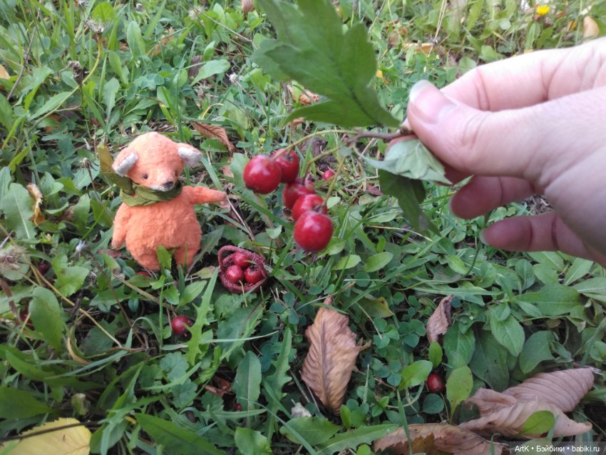 Гостинцы — Домашние фото авторских игрушек: Тедди