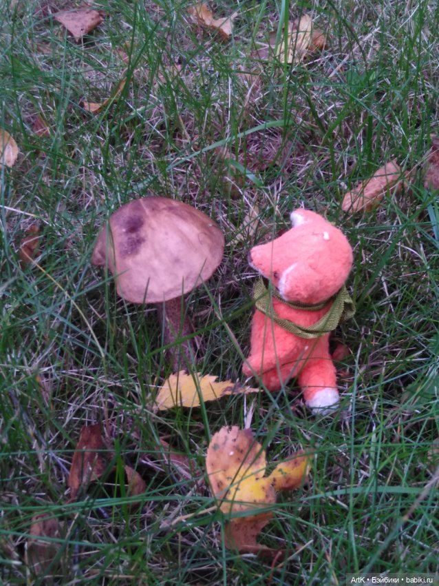 Гостинцы — Домашние фото авторских игрушек: Тедди (фото 4)