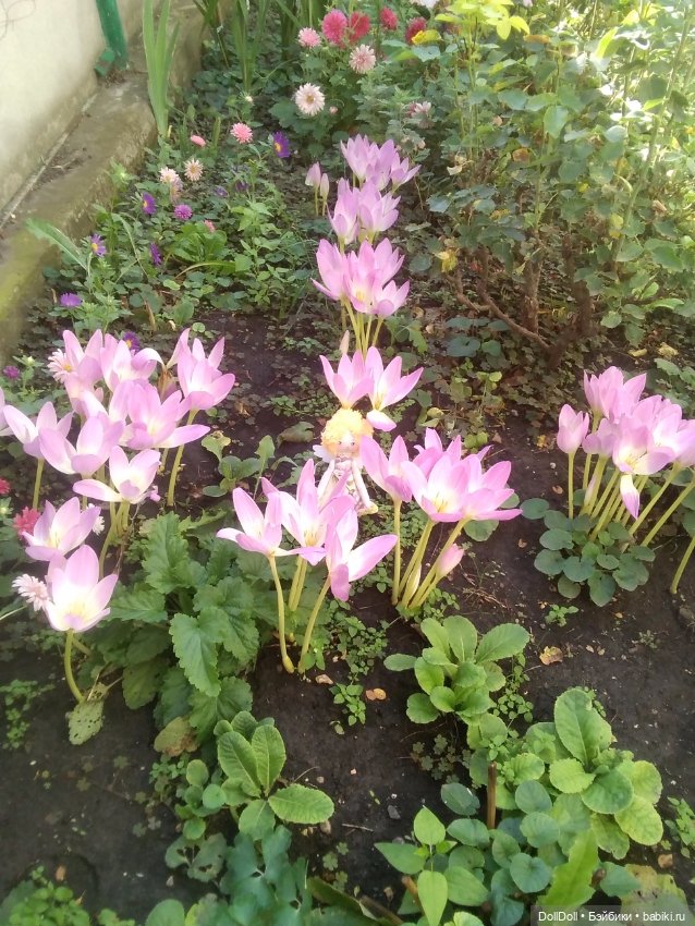 Один день из жизни ангела (фото 5)