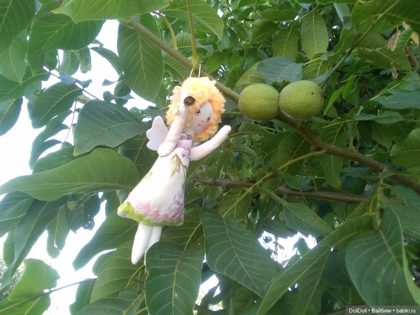 Один день из жизни ангела (фото 2)