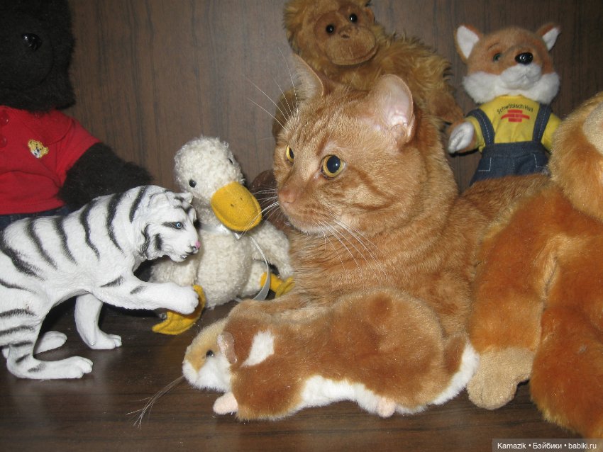 Рыжий пушистый захват — Разные шарнирные куклы (не БЖД): редкие