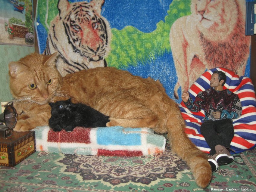 Рыжий пушистый захват — Разные шарнирные куклы (не БЖД): редкие