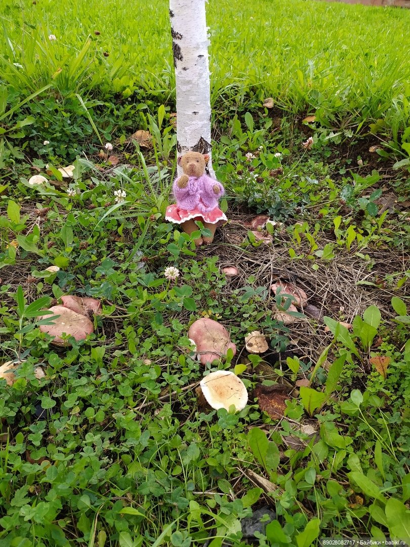 Мишка Маша на прогулке — Авторские мишки Тедди и друзья: фото