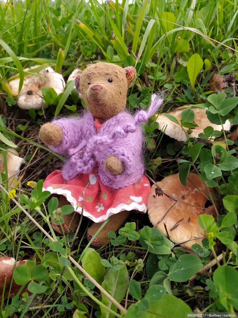 Мишка Маша на прогулке — Авторские мишки Тедди и друзья: фото (фото 3)