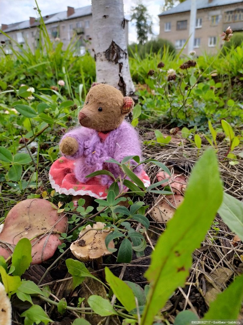 Мишка Маша на прогулке — Авторские мишки Тедди и друзья: фото (фото 2)