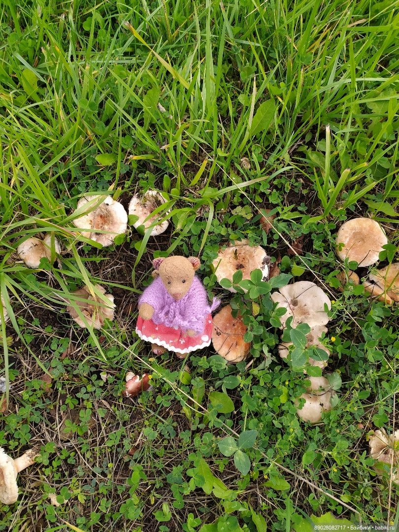 Мишка Маша на прогулке — Авторские мишки Тедди и друзья: фото (фото 6)