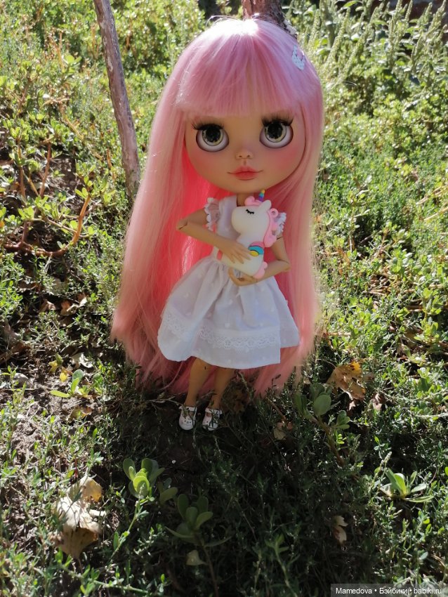 Зиссель и Дженни. Кастом Блайз (фото 4)