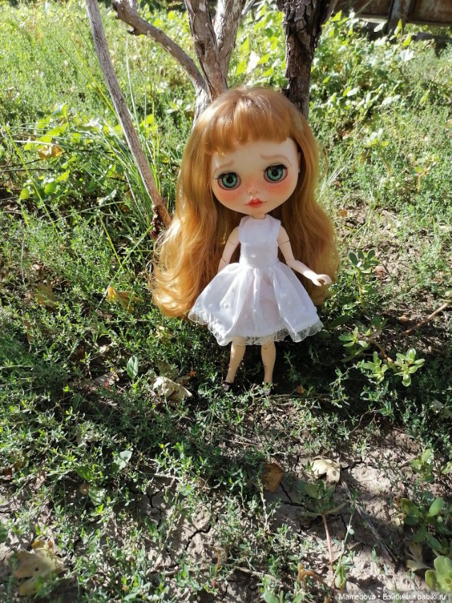 Зиссель и Дженни. Кастом Блайз (фото 6)