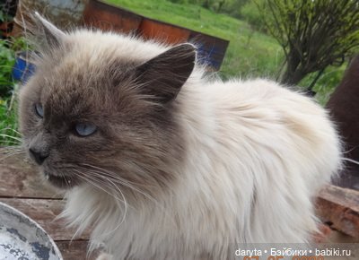 А мы его похоронили — Болталка и разговоры обо всем: жизнь