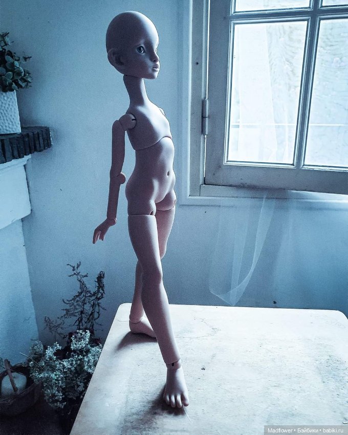 Nova Nefer Kane предзаказ до 8.10 (фото 6)