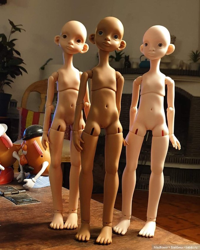 Nova Nefer Kane предзаказ до 8.10 (фото 5)