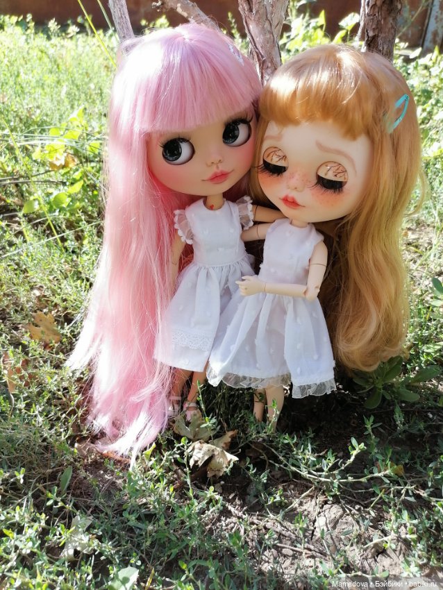 Зиссель и Дженни. Кастом Блайз