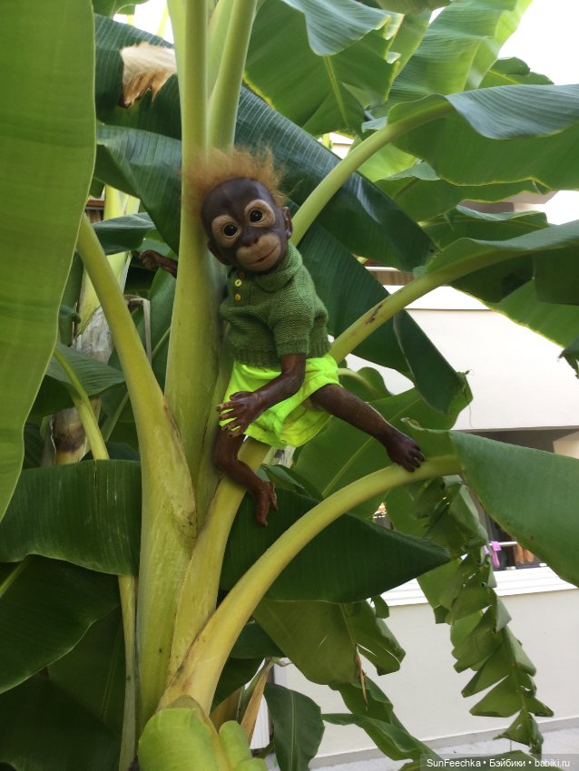 Фотоотчет по нашему с Гришкой отдыху в Турции/Сиде сентябрь 2020 (фото 9)