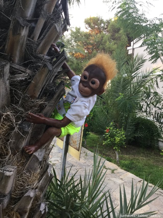 Фотоотчет по нашему с Гришкой отдыху в Турции/Сиде сентябрь 2020