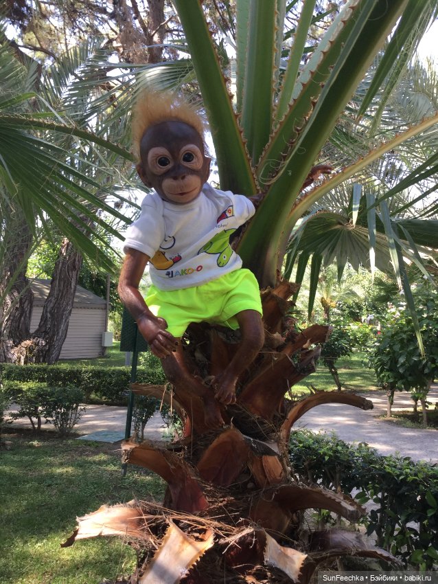 Фотоотчет по нашему с Гришкой отдыху в Турции/Сиде сентябрь 2020 (фото 5)