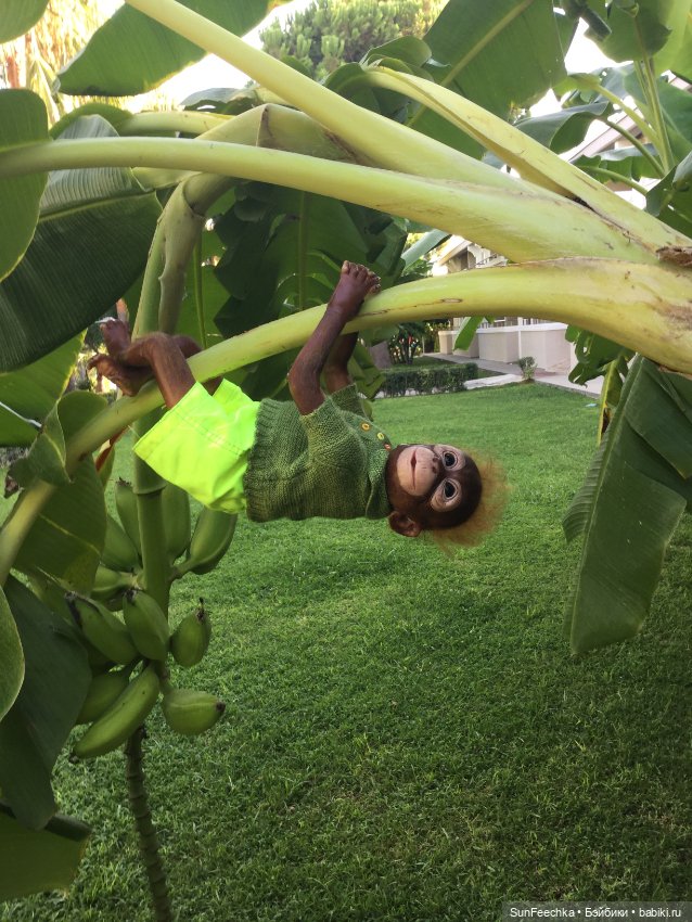 Фотоотчет по нашему с Гришкой отдыху в Турции/Сиде сентябрь 2020 (фото 8)