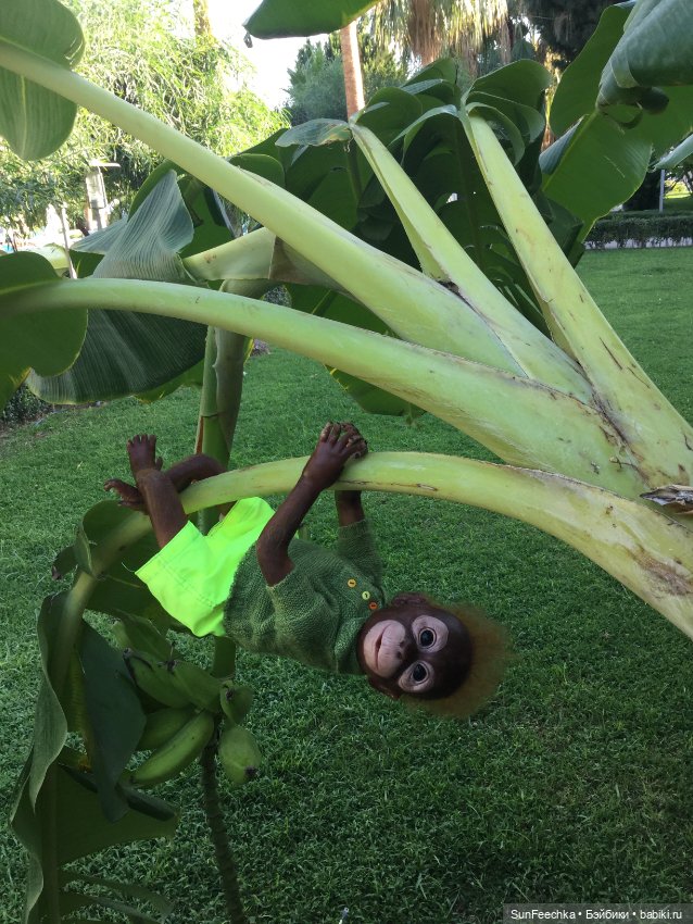 Фотоотчет по нашему с Гришкой отдыху в Турции/Сиде сентябрь 2020 (фото 7)