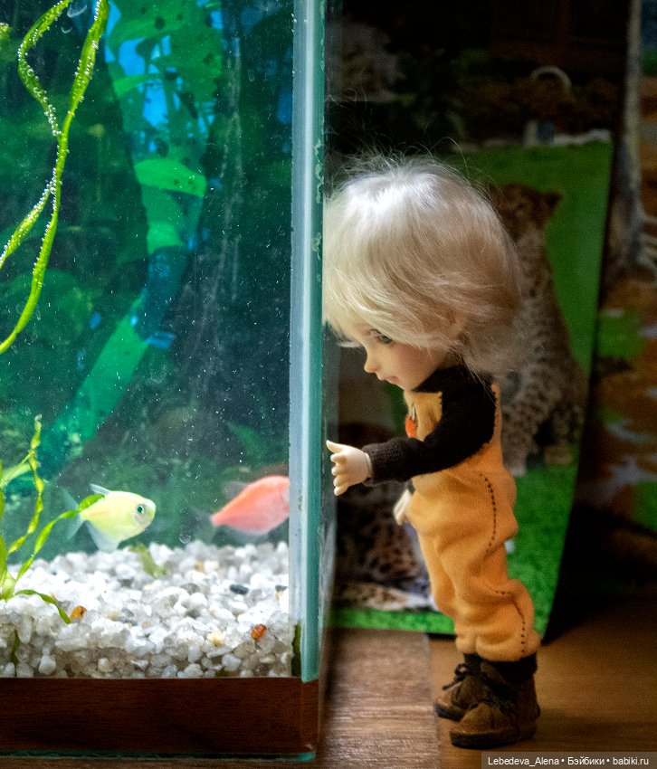 Домашний "океанариум" — Фотоистории с куклами BJD (БЖД): сериалы (фото 9)