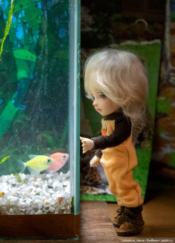 Домашний "океанариум" — Фотоистории с куклами BJD (БЖД): сериалы (фото 8)