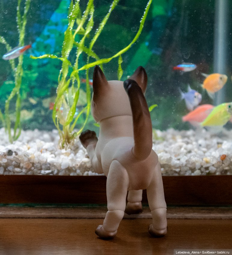 Домашний "океанариум" — Фотоистории с куклами BJD (БЖД): сериалы (фото 3)