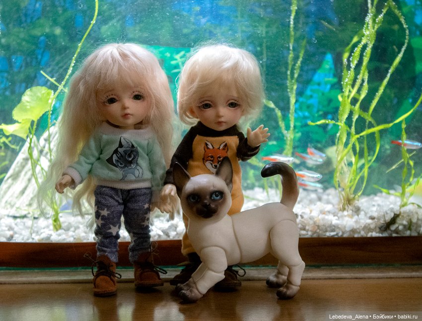 Домашний "океанариум" — Фотоистории с куклами BJD (БЖД): сериалы (фото 10)