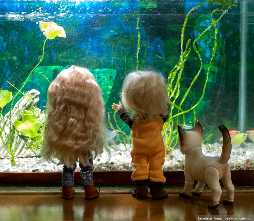 Домашний "океанариум" — Фотоистории с куклами BJD (БЖД): сериалы
