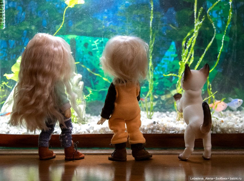 Домашний "океанариум" — Фотоистории с куклами BJD (БЖД): сериалы (фото 2)