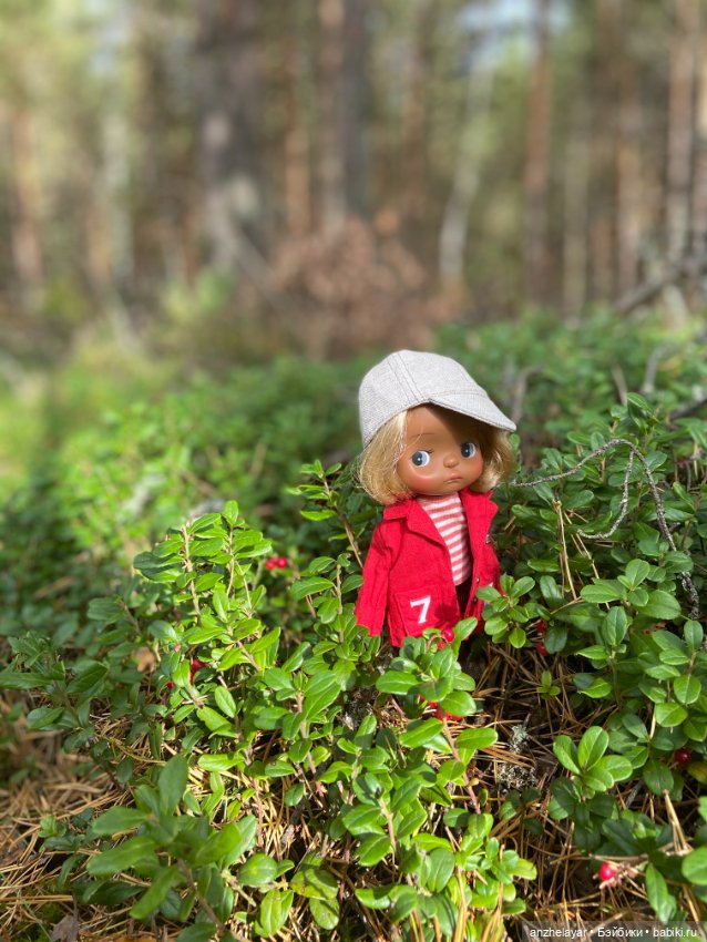Осенняя прогулка — Куклы Holala (Холала) от Jenny Fairytown: Pipita (фото 5)
