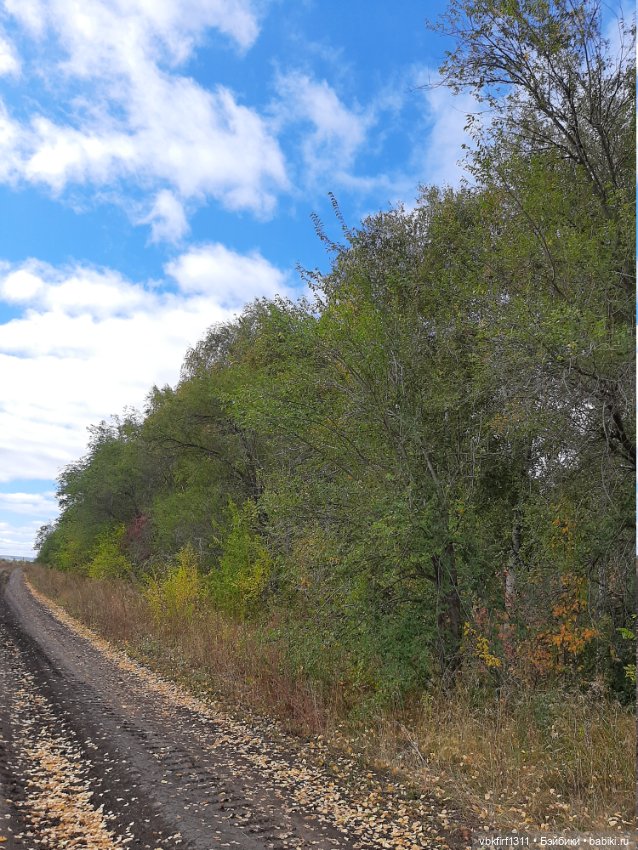Ева, море и путешествие — Туризм и путешествия: фотоотчеты из поездок (фото 3)