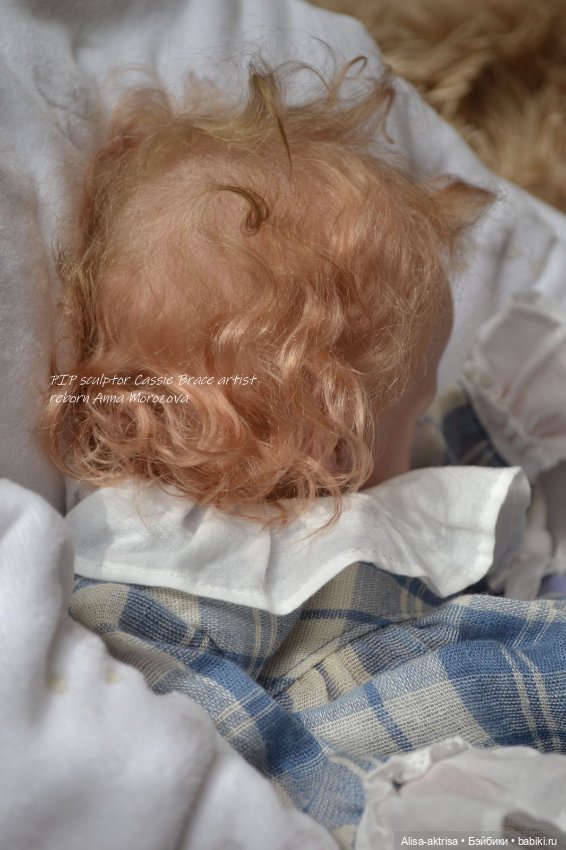 Пип родился! Кукла реборн Анны Морозовой (фото 9)