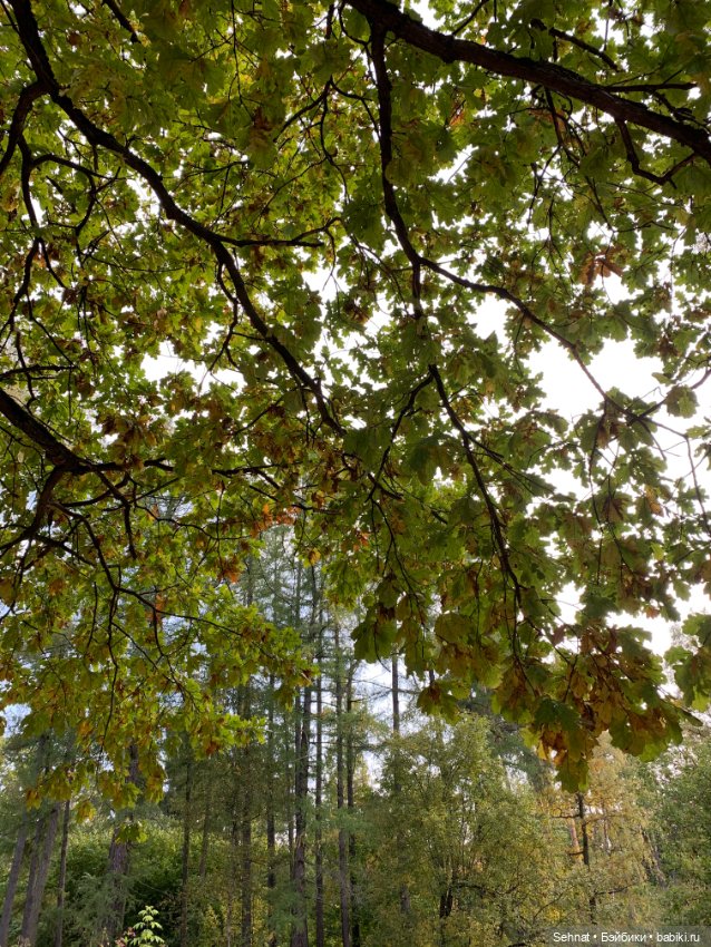 Осень — Куклы Heidi Ott (Хайди Отт): Швейцария (фото 9)