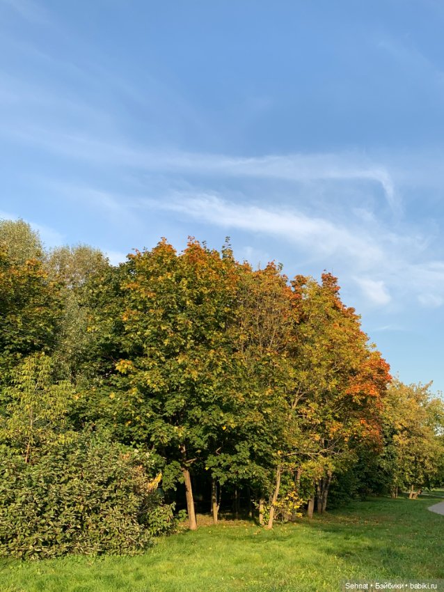 Осень — Куклы Heidi Ott (Хайди Отт): Швейцария (фото 3)