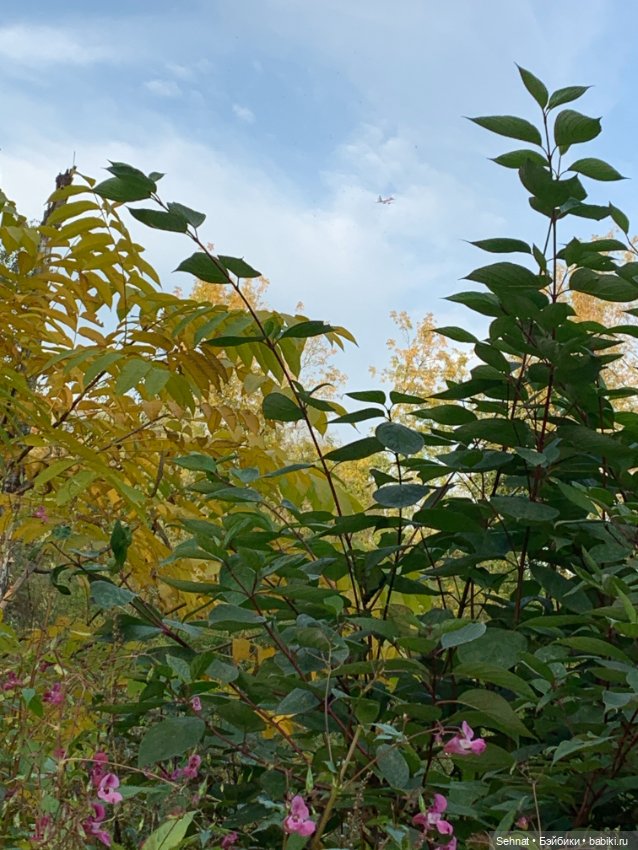 Осень — Куклы Heidi Ott (Хайди Отт): Швейцария (фото 10)