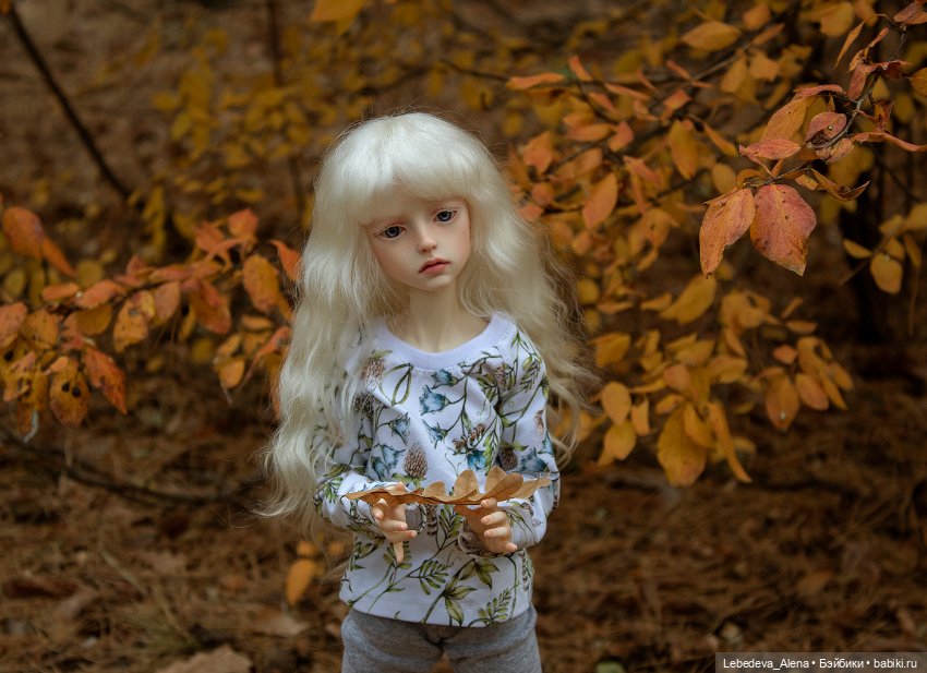 Анна и осенний лес — Куклы Dollstown (Доллстаун): BJD (БЖД) (фото 6)