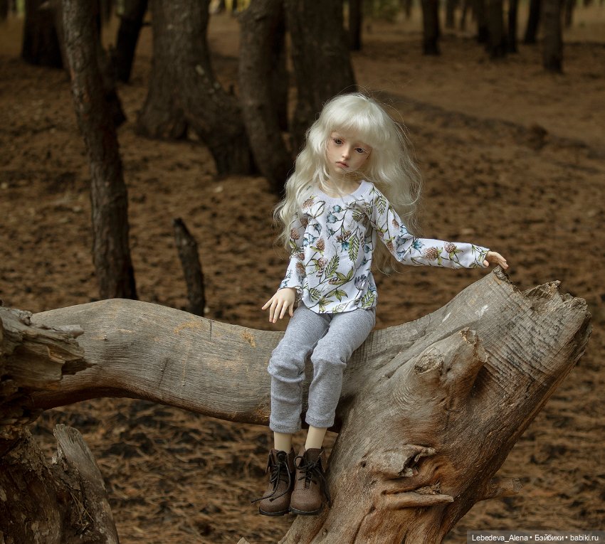 Анна и осенний лес — Куклы Dollstown (Доллстаун): BJD (БЖД) (фото 2)