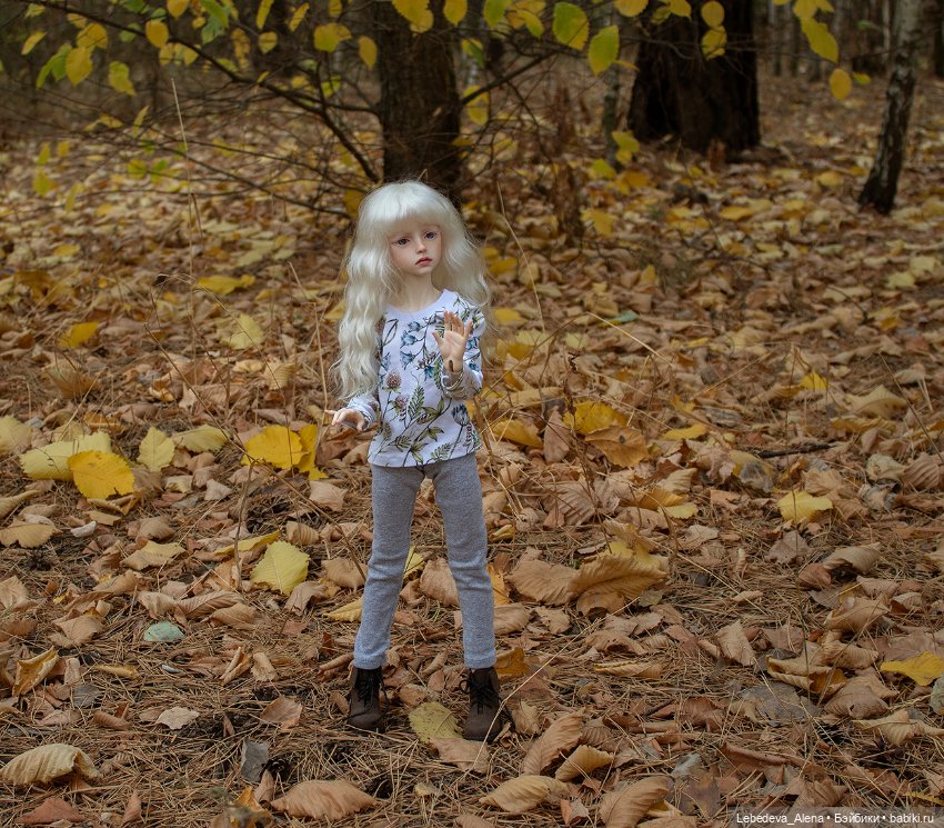 Анна и осенний лес — Куклы Dollstown (Доллстаун): BJD (БЖД) (фото 4)
