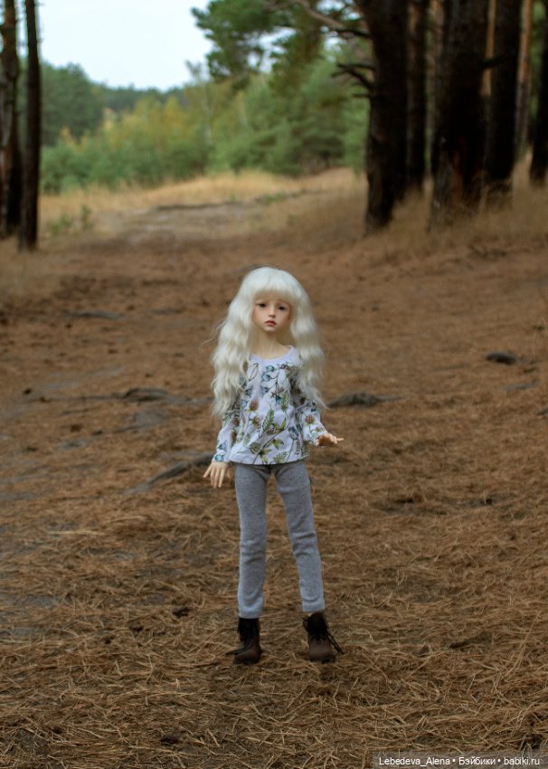 Анна и осенний лес — Куклы Dollstown (Доллстаун): BJD (БЖД) (фото 3)